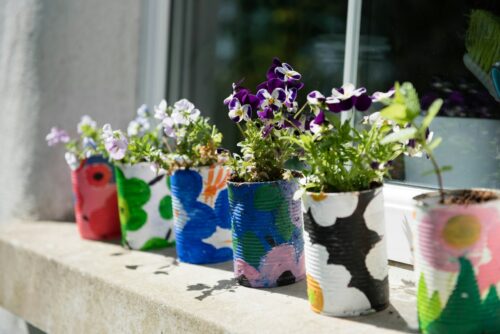 Image of plant pots outside a window